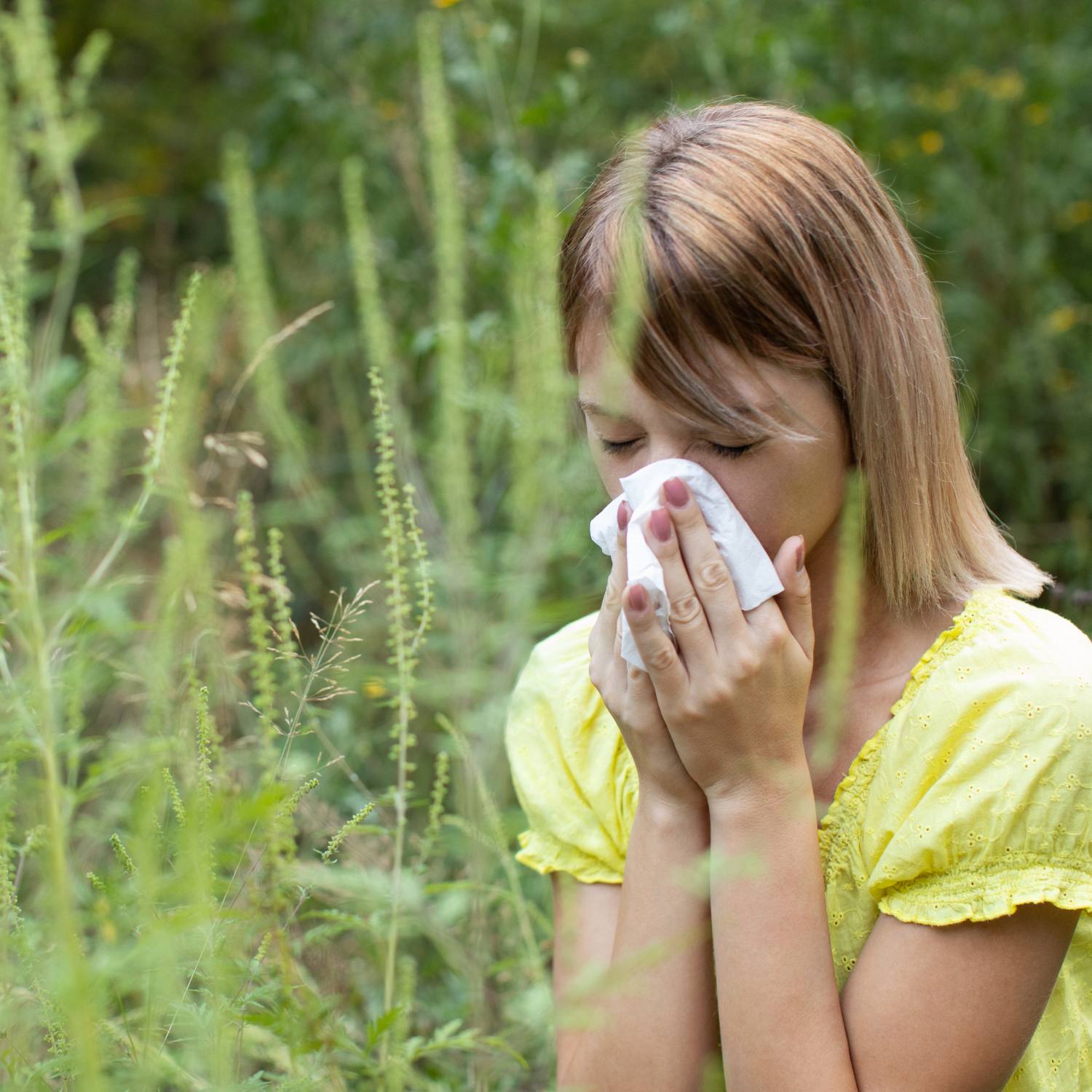 Bedste_rod_mod_hofeber