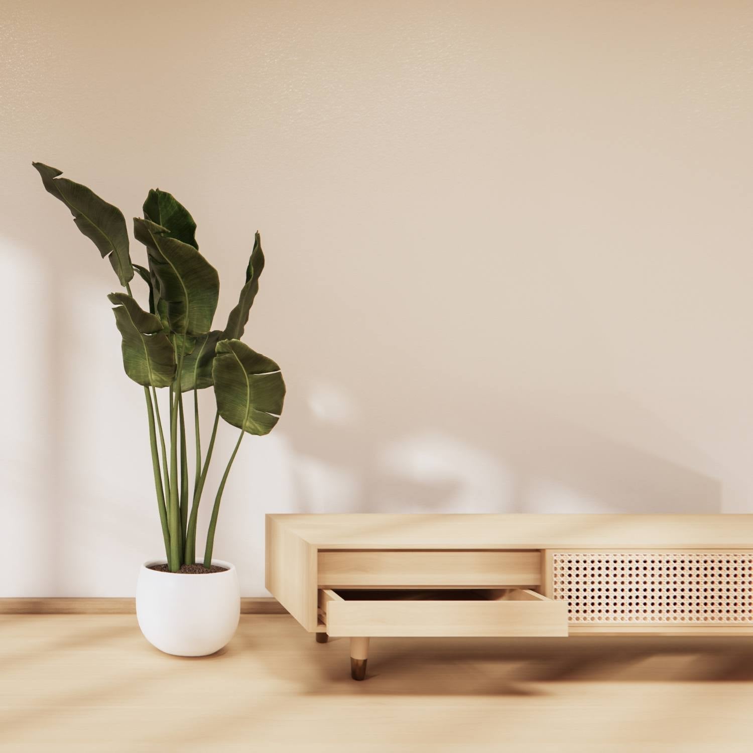 Indret dig allergivenligt - de bedste råd til et sundt hjem