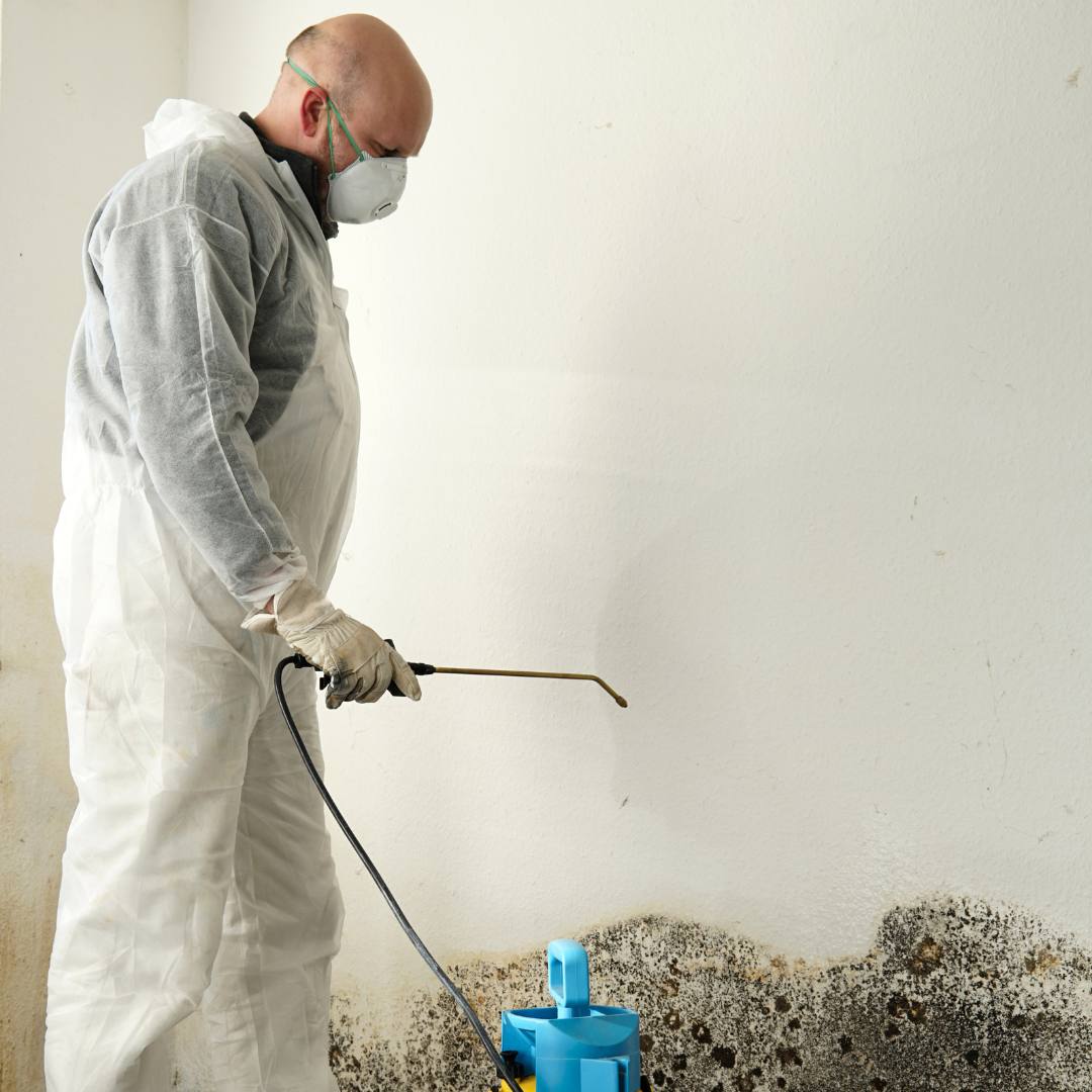 Mand der fjerner skimmelsvamp