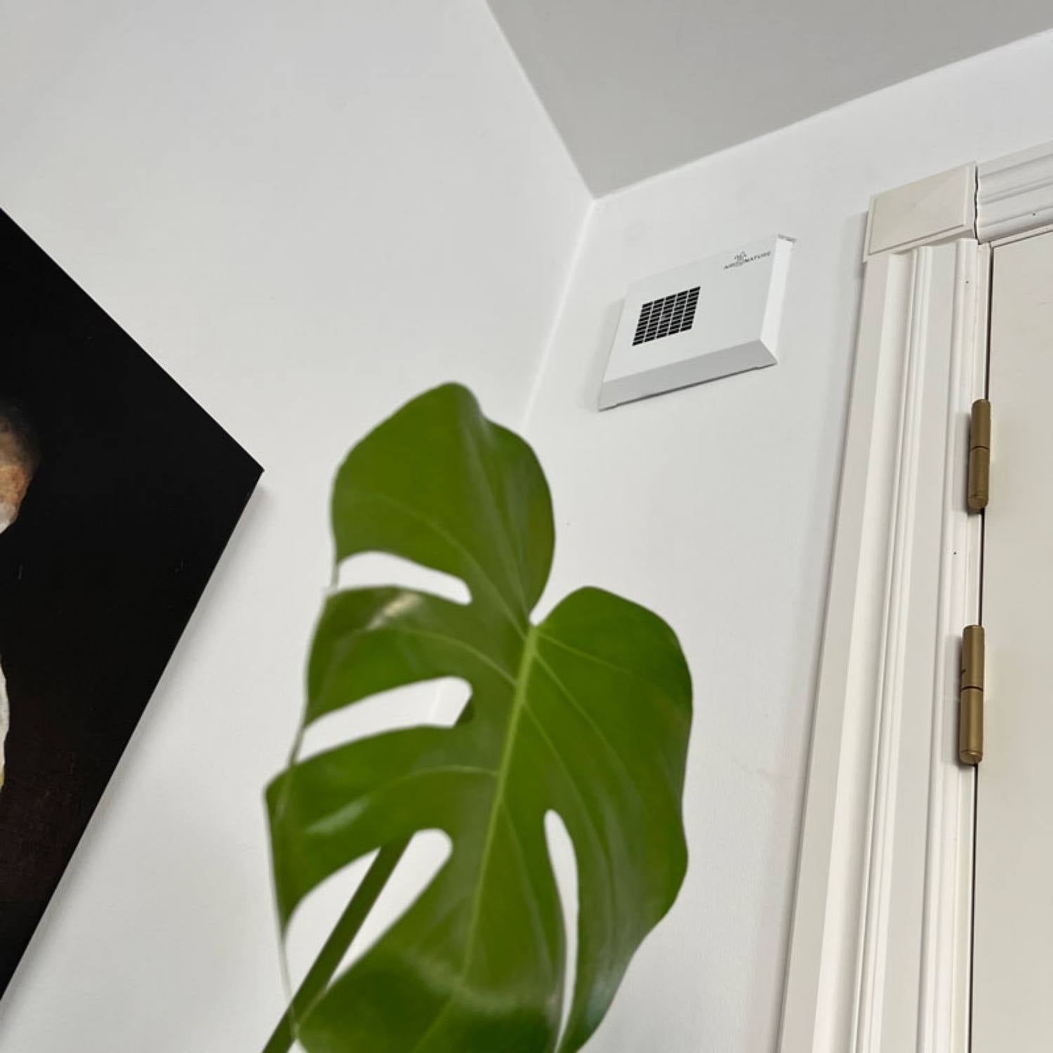 Gratis fugttjek af kælder og uforpligtende tilbud fra AirByNature