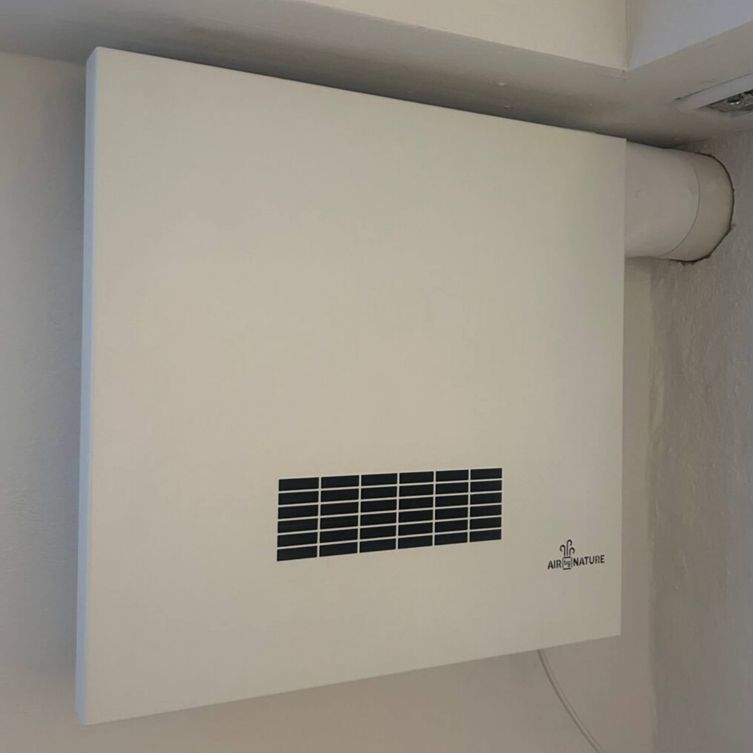 Gratis fugttjek af kælder og uforpligtende tilbud fra AirByNature