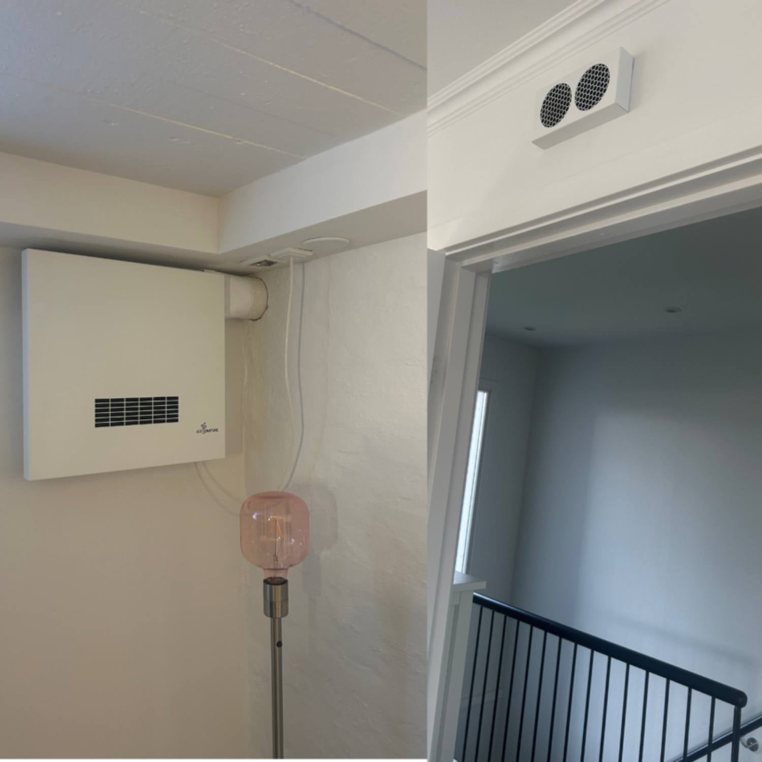 Gratis fugttjek af kælder og uforpligtende tilbud fra AirByNature