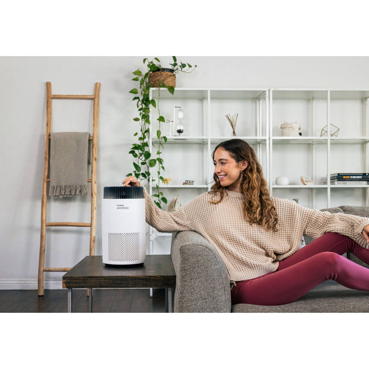 OUTLET: Luftrenser med HEPA filter 0-63 m2 Airmega 100