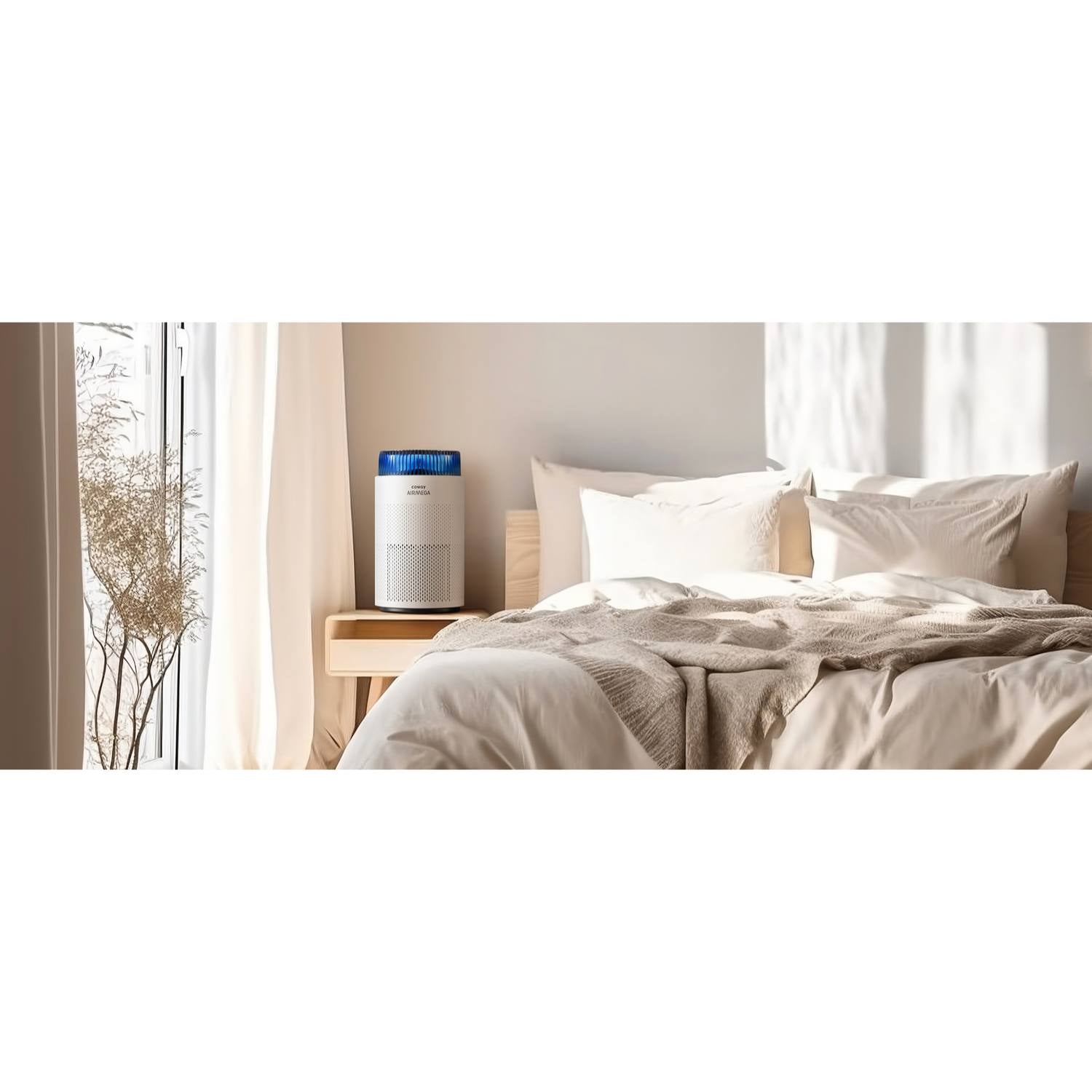 OUTLET: Luftrenser med HEPA filter 0-63 m2 Airmega 100