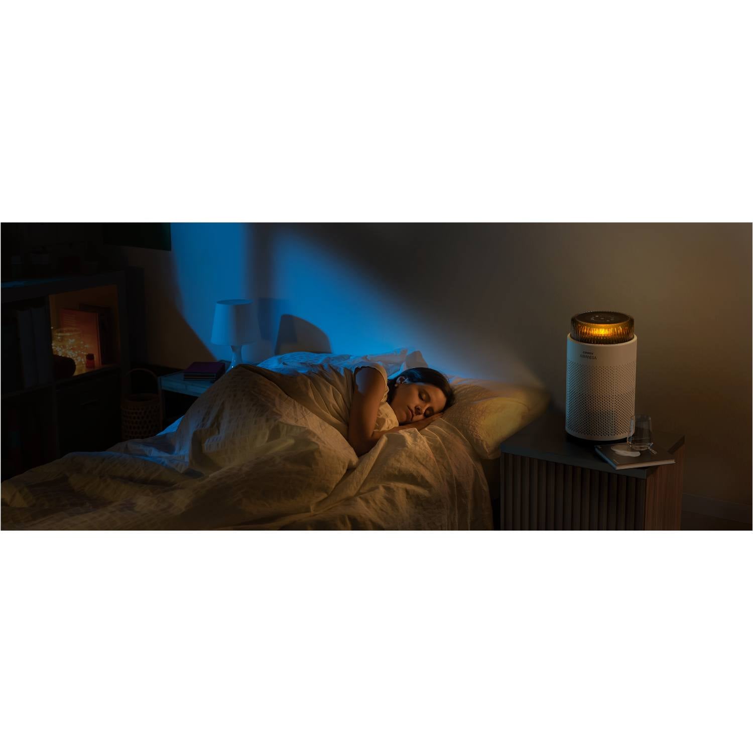 OUTLET: Luftrenser med HEPA filter 0-63 m2 Airmega 100