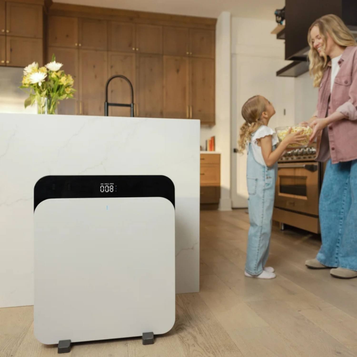 Luftrenser med HEPA filter 0-131 m2 Blueair