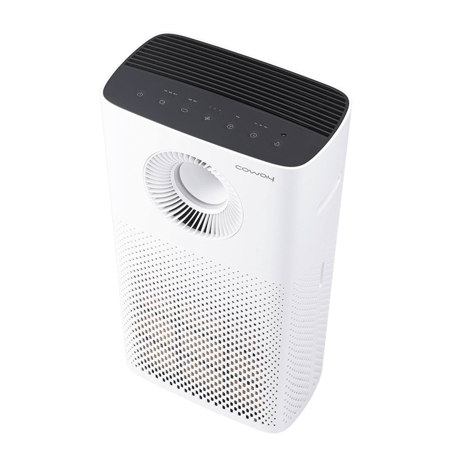 Luftrenser med HEPA filter 0-100 m2