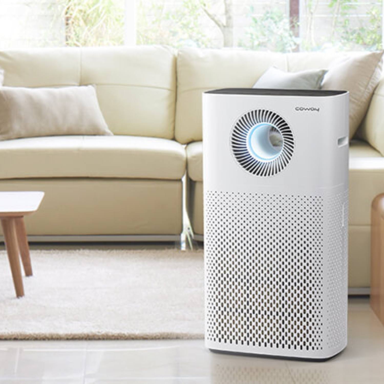 Luftrenser med HEPA filter 0-100 m2