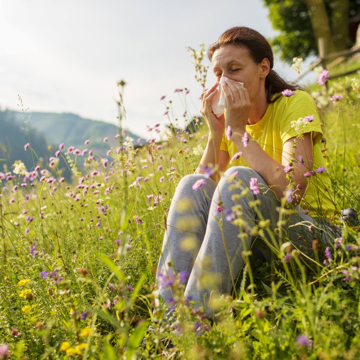 Symptomer_ved_hofeber