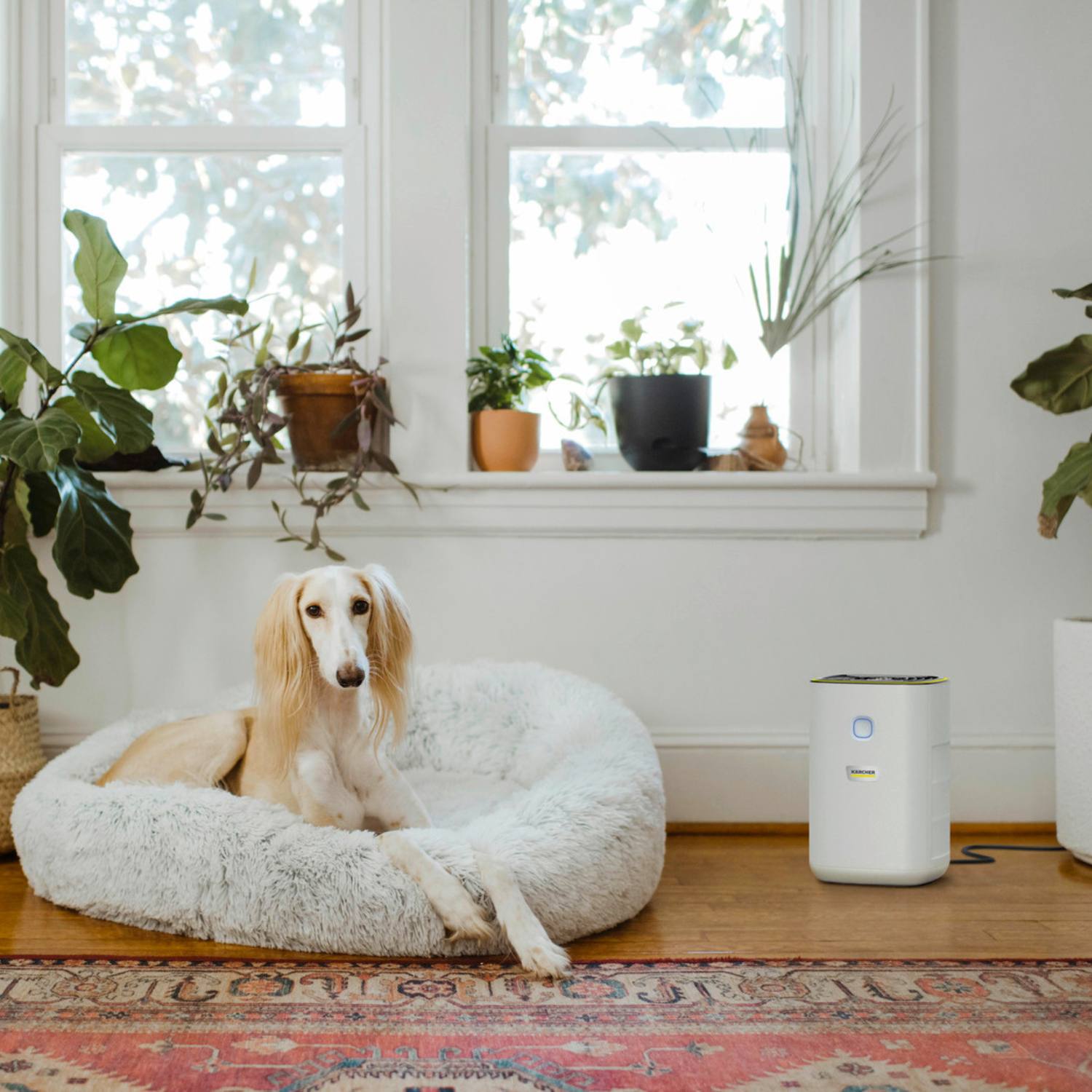 Luftrenser med HEPA filter 0-40 m2