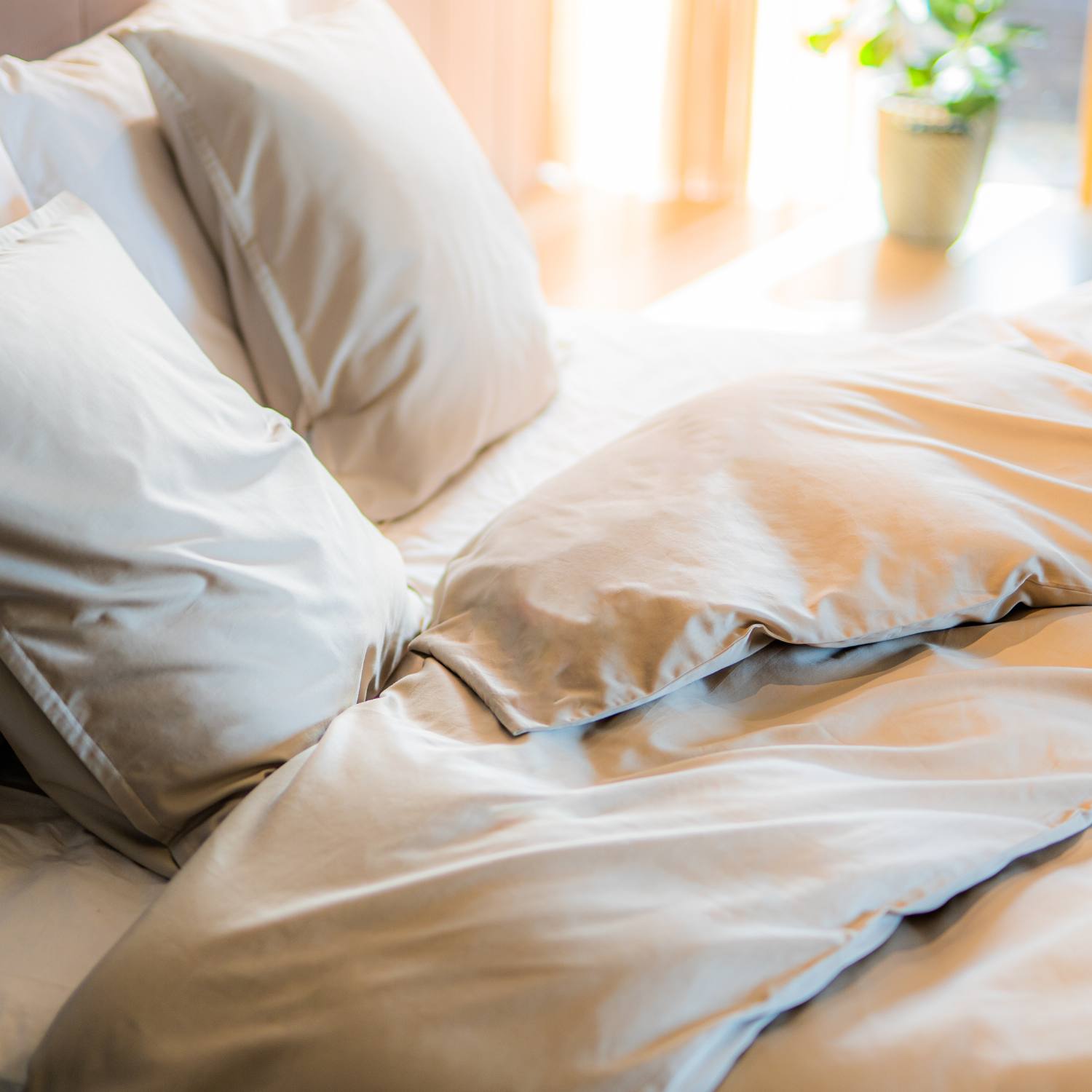 egyptisk_bomuld_er_det_blødeste_mod_huden