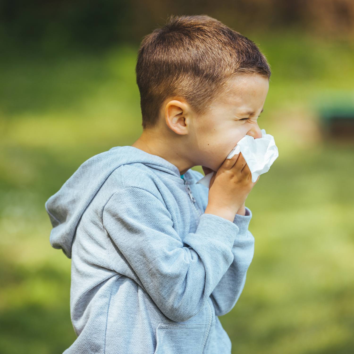 Bedste_rod_til_born_og_hofeber