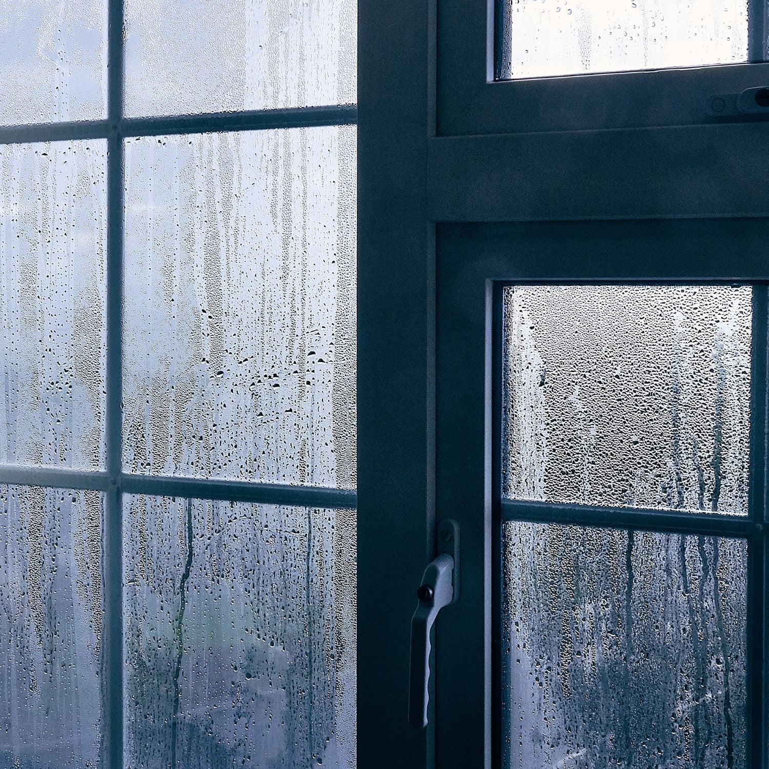 Få_hjælp_til_for_høj_luftfugtighed