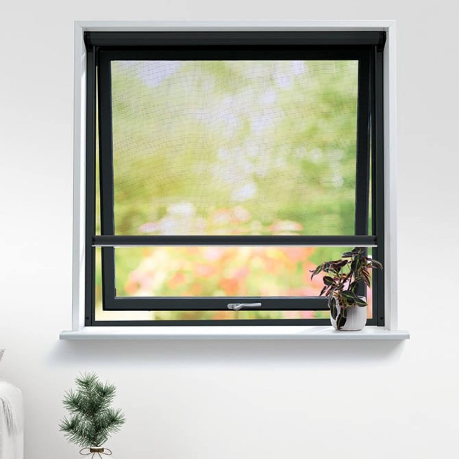 Pollennet til vinduer, Antracitgrå