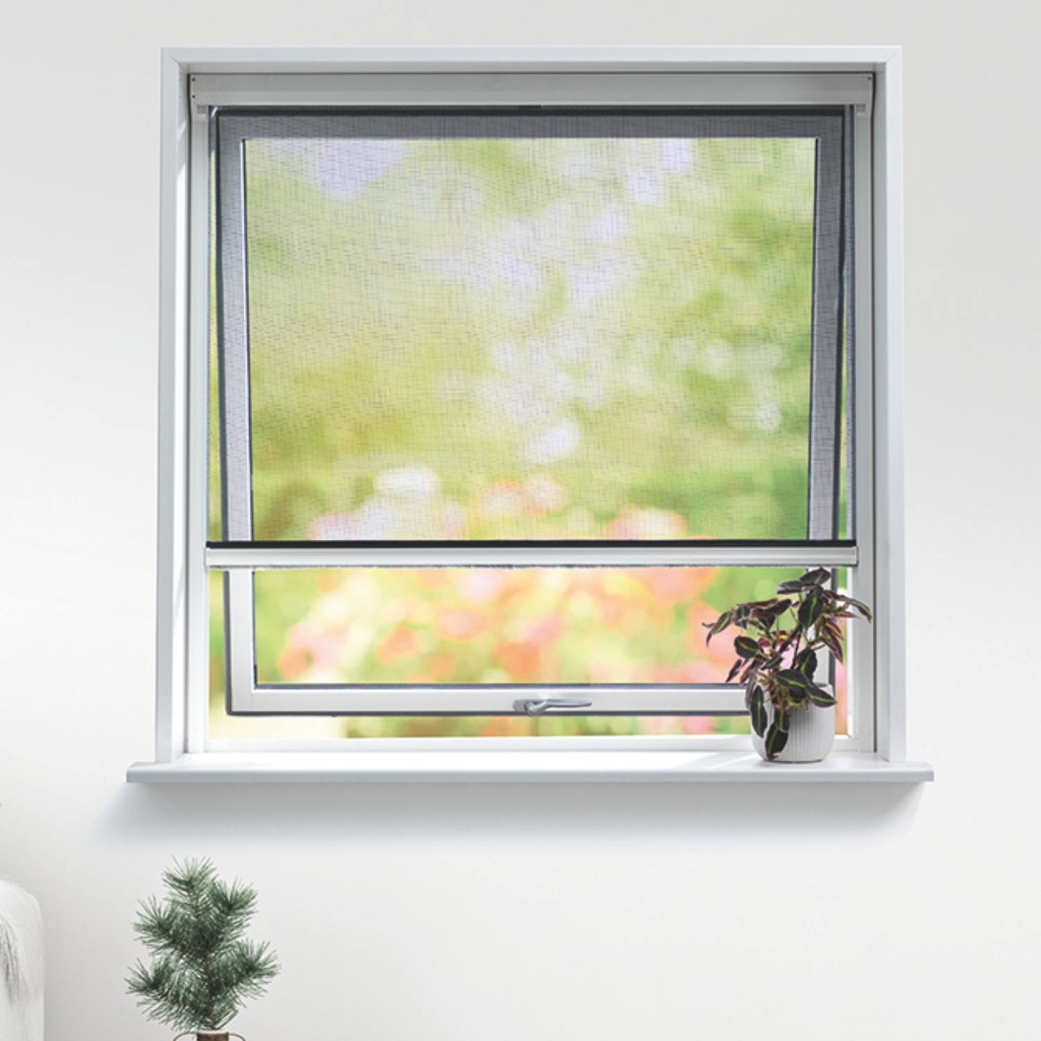 Pollennet til vinduer, Hvid