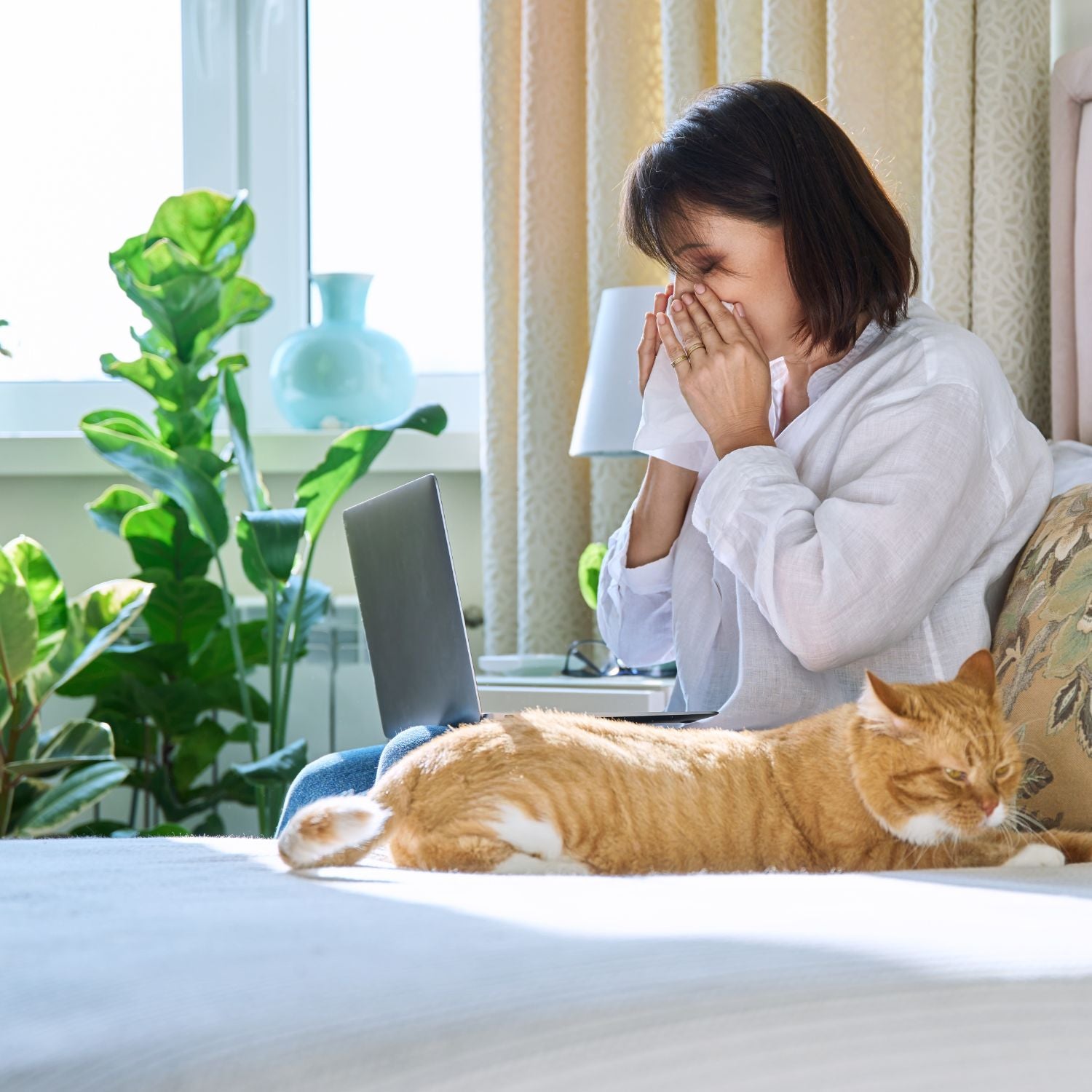 hjælp_til_pelsdyr_og_symptomer