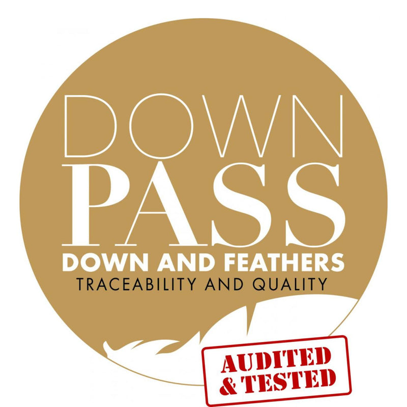Down Pass logo 